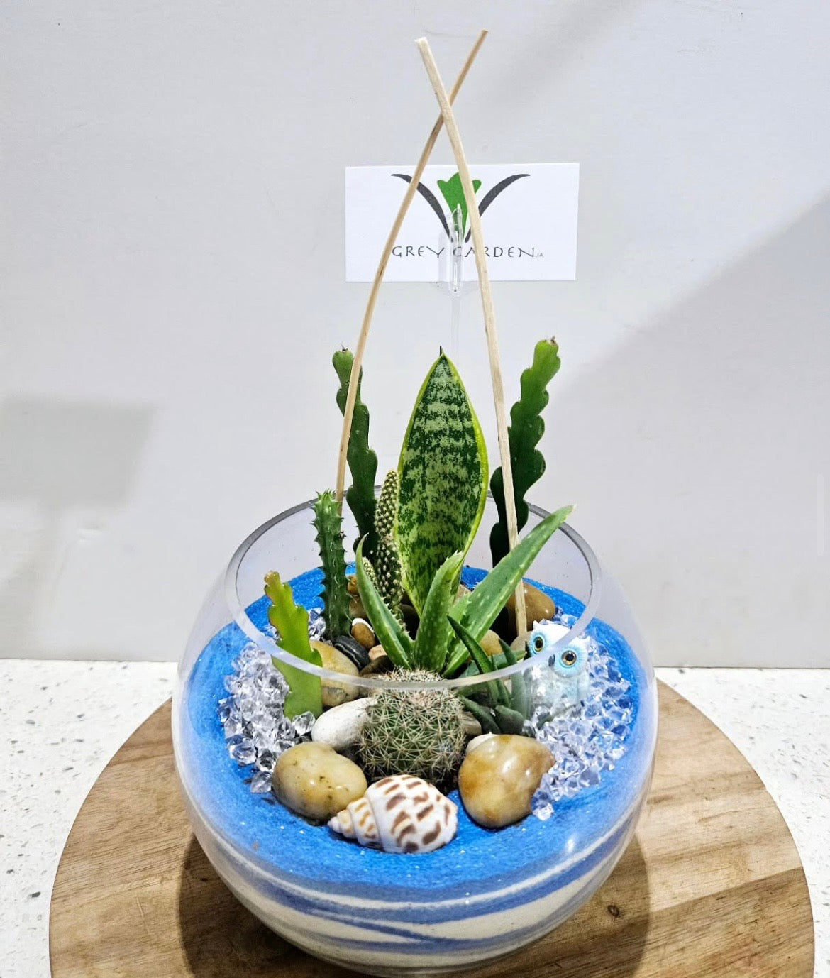 Dish Garden