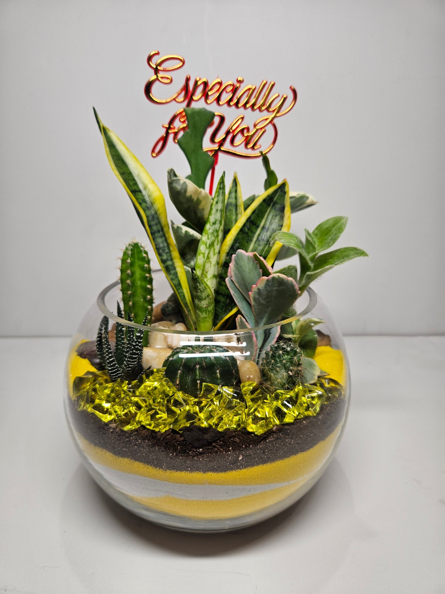 Dish Garden