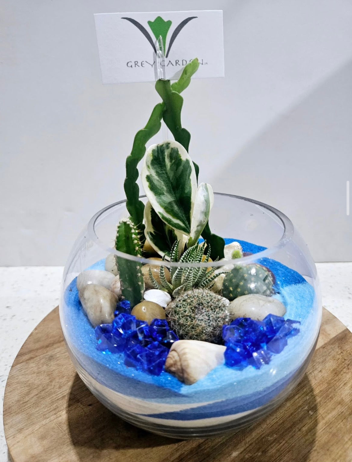 Dish Garden