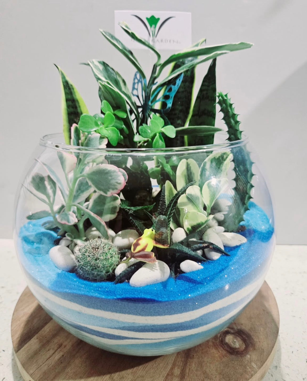 Dish Garden