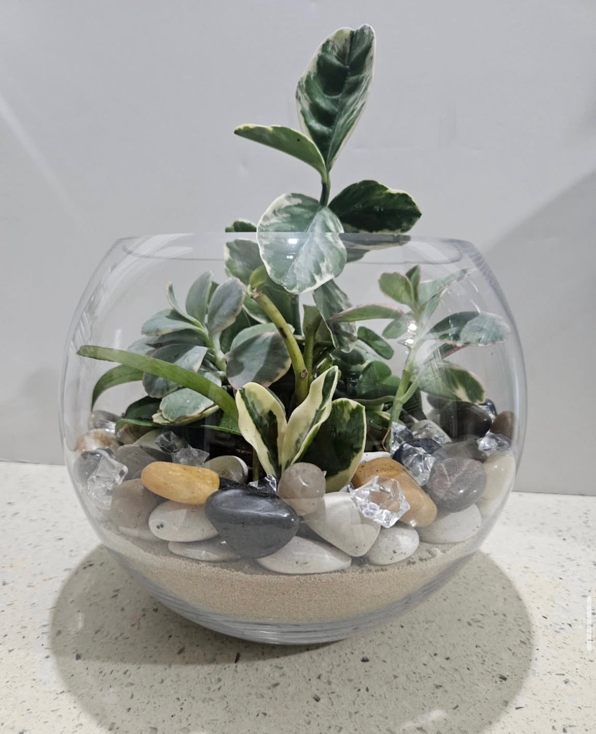Dish Garden