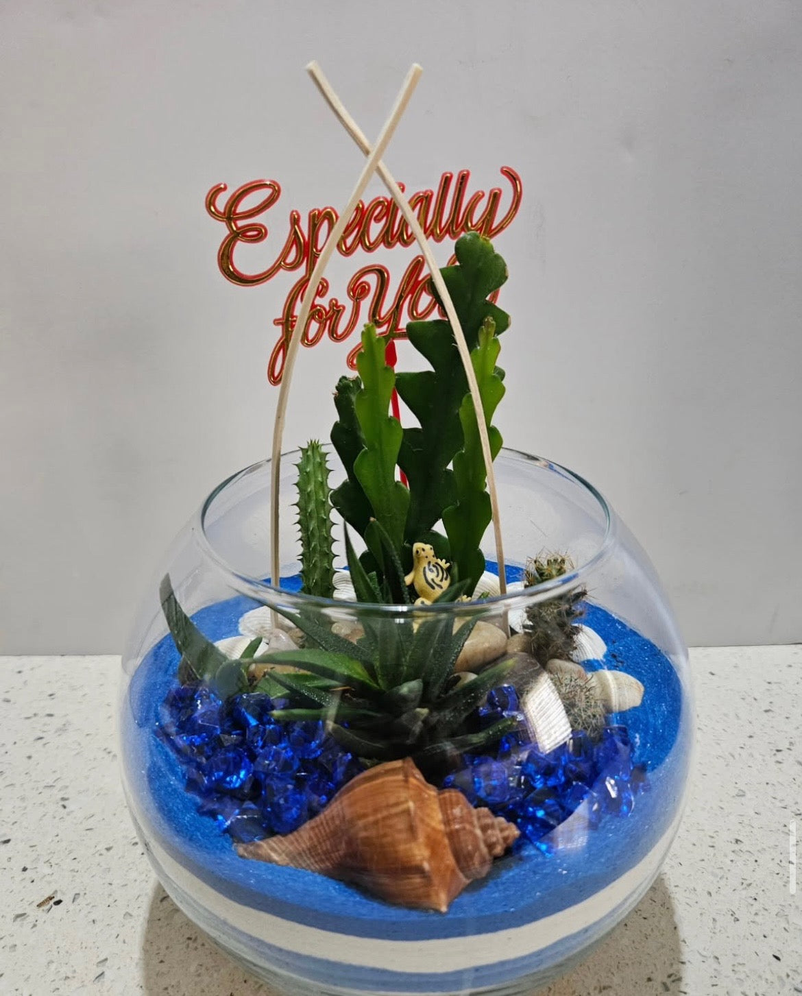 Dish Garden